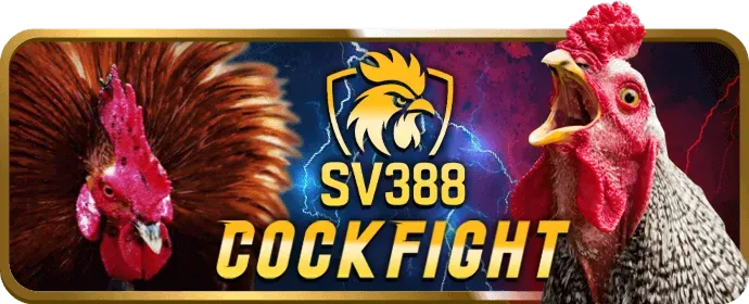 Sự kiện đặc biệt 33win999